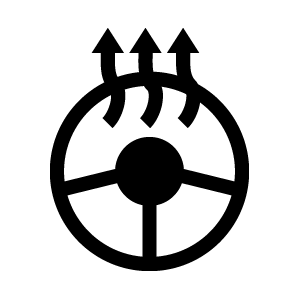 Heated Steering Wheel - Do Not Remove